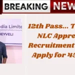 NLC Apprentice Recruitment 2025