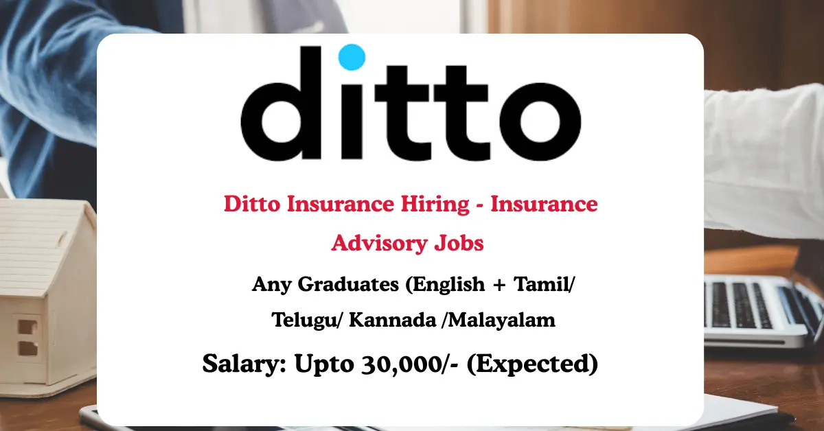 Read more about the article Ditto Insurance Hiring 2025 | Work From Home Insurance Advisory Jobs (Freshers Eligible)